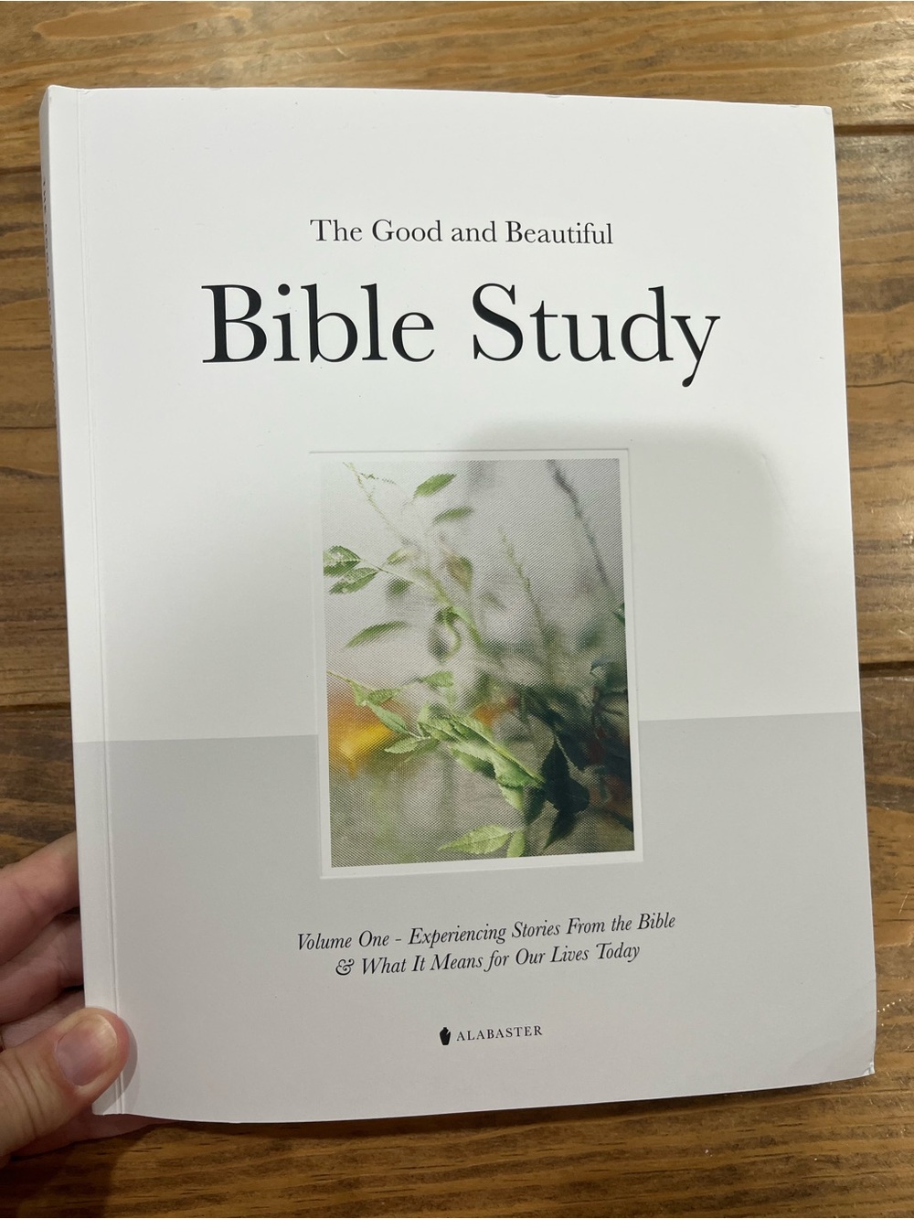 Bible Study Book - White